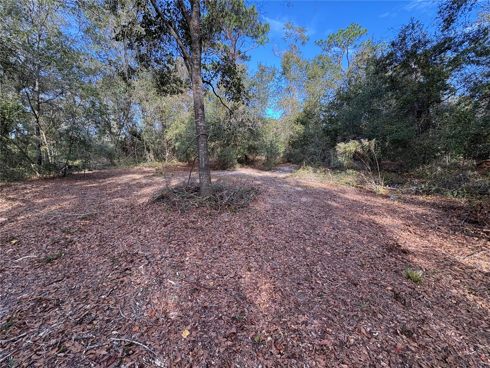 WOODS RANCHING & FARMING TRACTS - Residential