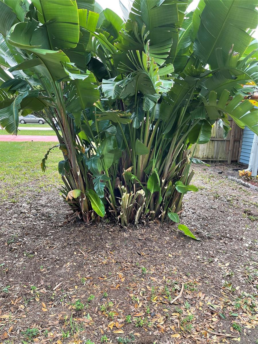 Florida Shores 01 - Residential