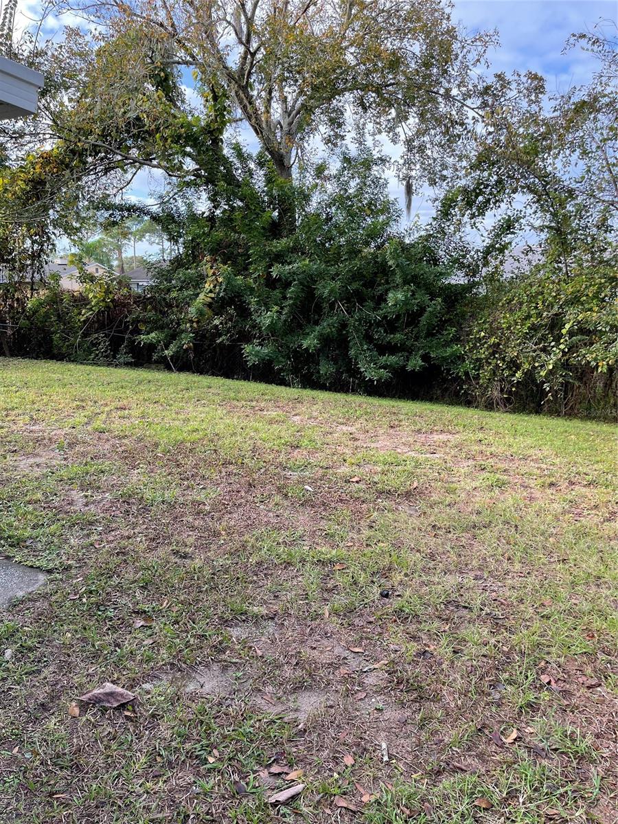 Florida Shores 01 - Residential