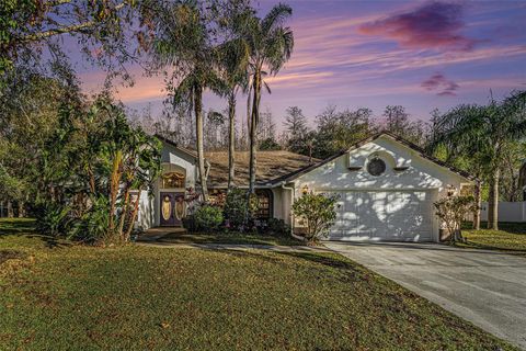 A home in LAND O LAKES