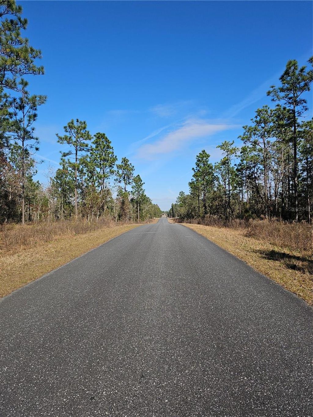 Photo of Tbd SE 136th Terrace, Dunnellon, FL 34431 (MLS # OM715673)
