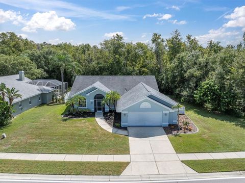 Photo of 1608 Kinsmere Drive, Trinity, FL 34655 (MLS # W7878954)