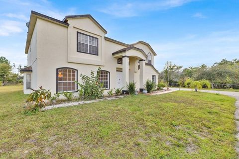 Photo of 18744 Sabal Street, Orlando, FL 32833 (MLS # O6349706)