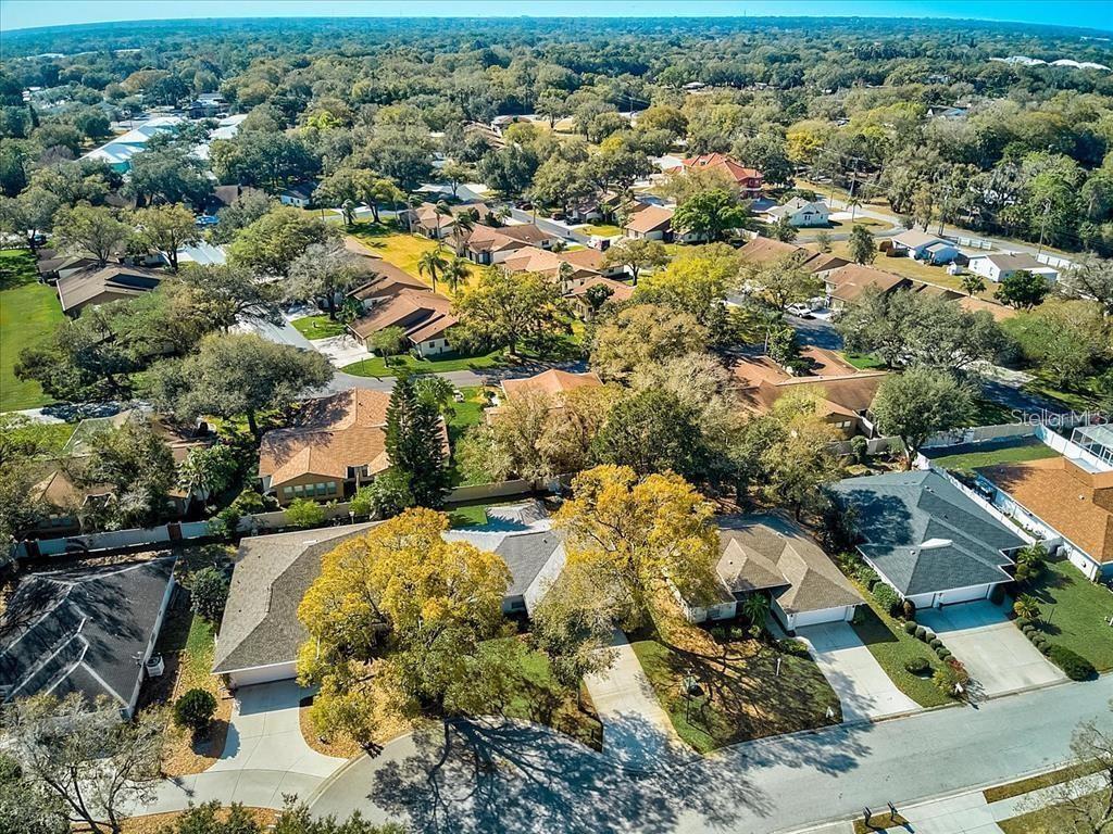 PINEWOOD FOREST, PH 1 - Residential Lease