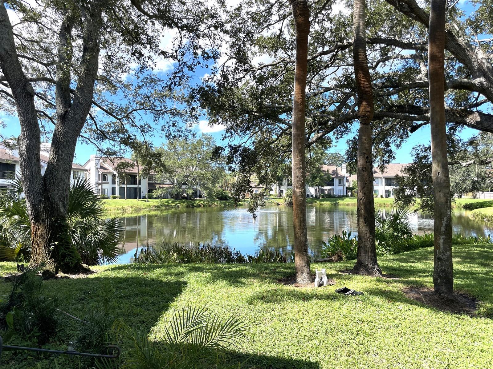 CYPRESS TRACE NORTH CONDO - Residential