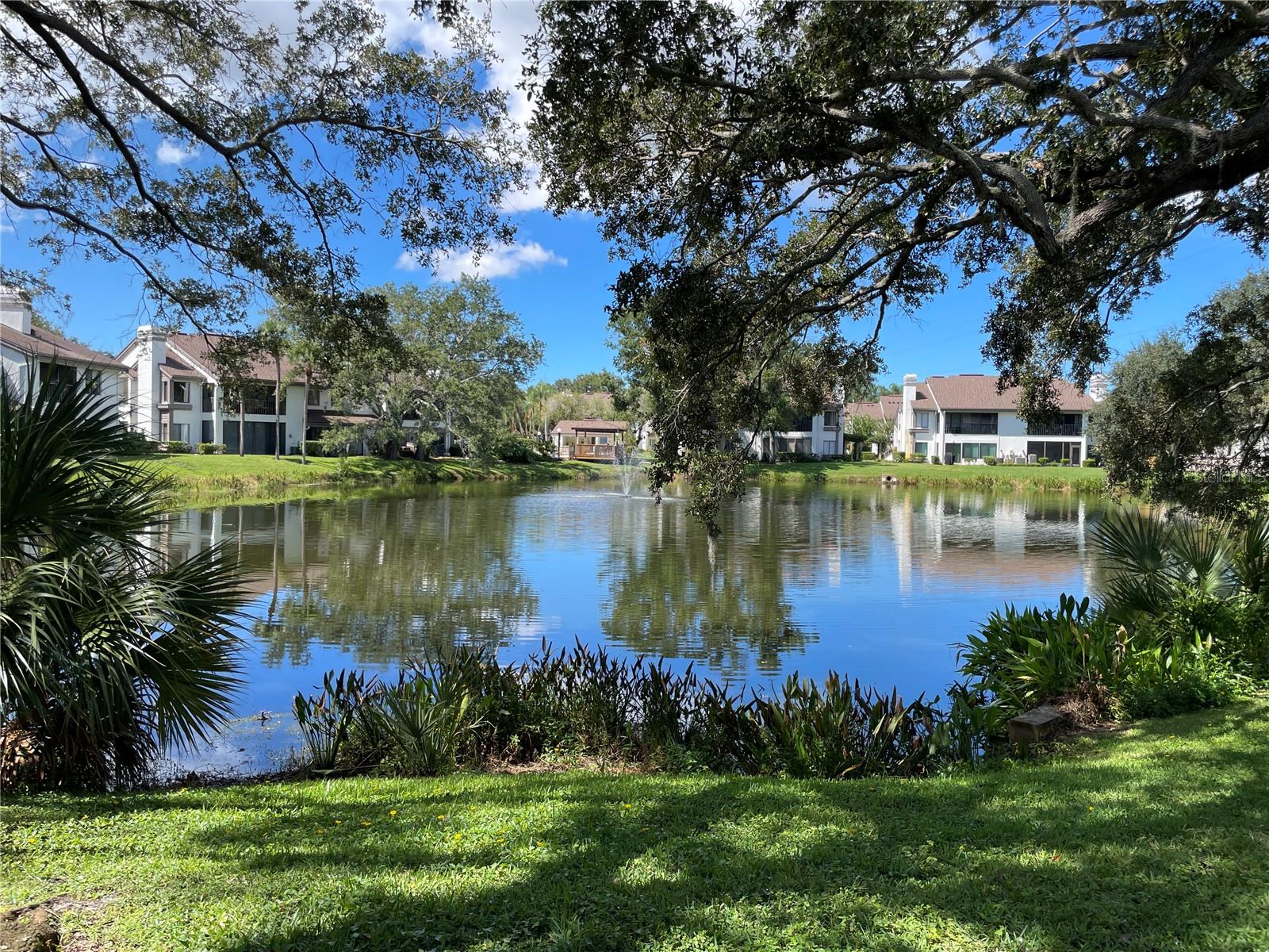 CYPRESS TRACE NORTH CONDO - Residential
