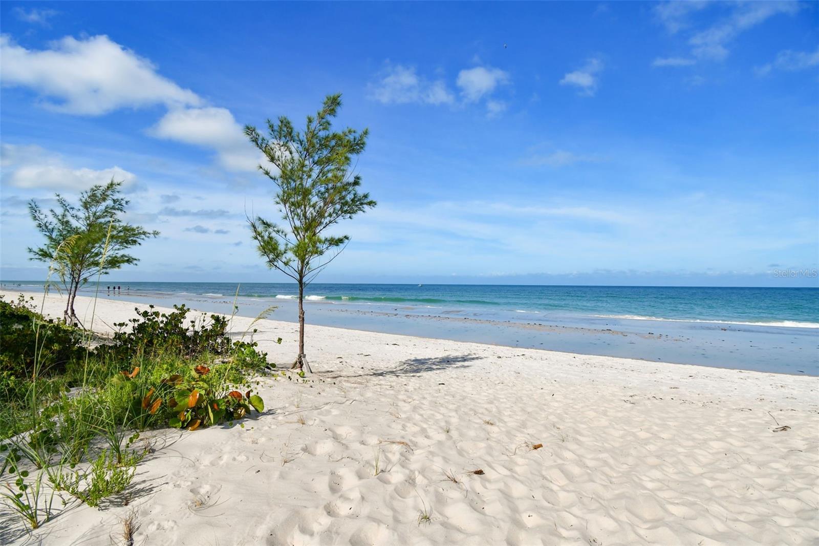 PIPERS III A CONDO - Residential