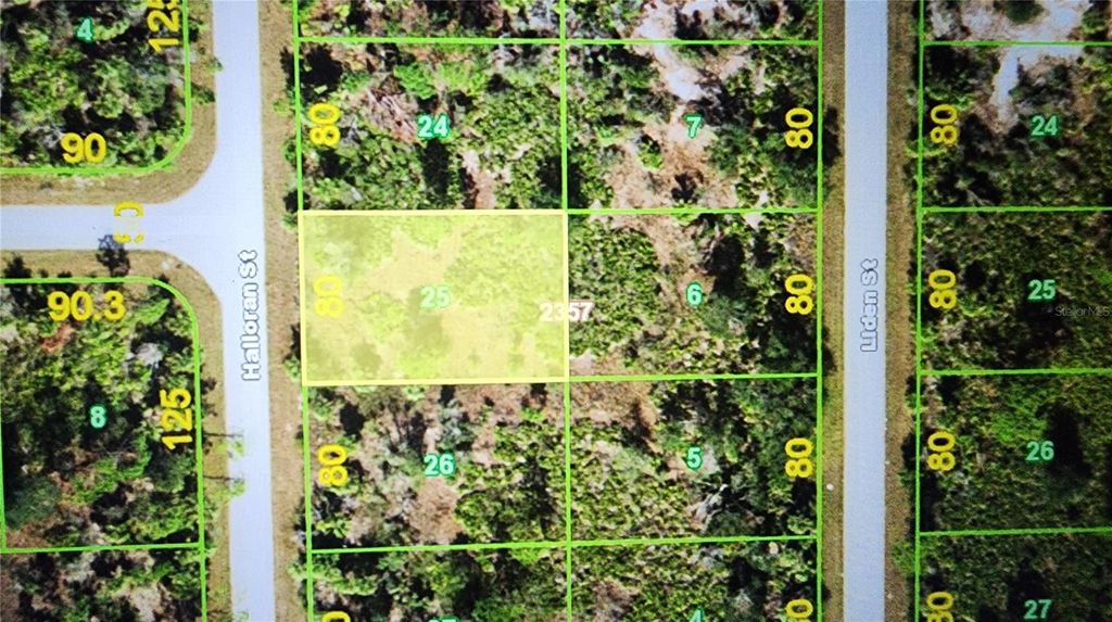 Photo of 318 Halloran Street, Port Charlotte, FL 33953 (MLS # D6135685)