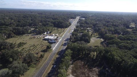 Tiny photo for Us Hwy 301 Tbd, Citra, FL 32113 (MLS # TB8366581)