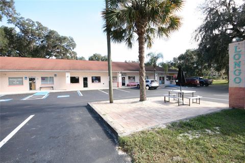 Tiny photo for Us Hwy 301 Tbd, Citra, FL 32113 (MLS # TB8366581)