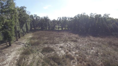 Tiny photo for Us Hwy 301 Tbd, Citra, FL 32113 (MLS # TB8366581)