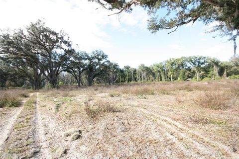 Tiny photo for Us Hwy 301 Tbd, Citra, FL 32113 (MLS # TB8366581)