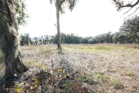 Tiny photo for Us Hwy 301 Tbd, Citra, FL 32113 (MLS # TB8366581)