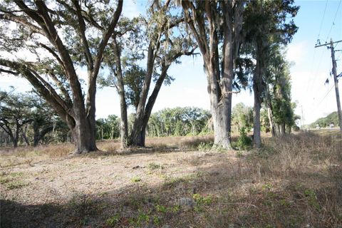 Tiny photo for Us Hwy 301 Tbd, Citra, FL 32113 (MLS # TB8366581)