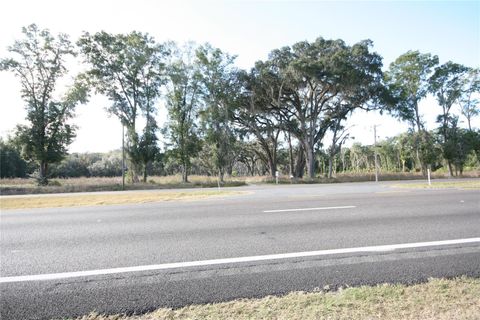 Tiny photo for Us Hwy 301 Tbd, Citra, FL 32113 (MLS # TB8366581)