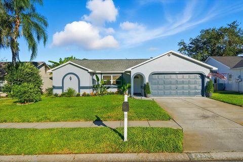 7330 ASHMORE DRIVE NEW PORT RICHEY FL 34653