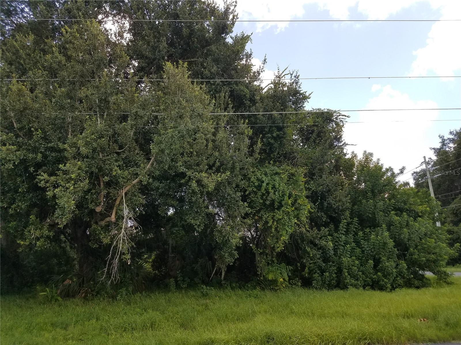 EMERALD LAKE COLONY UNIT 02 - Land