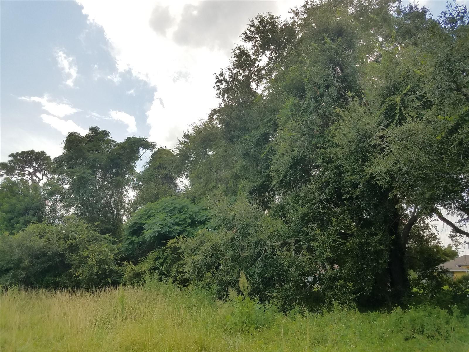 EMERALD LAKE COLONY UNIT 02 - Land