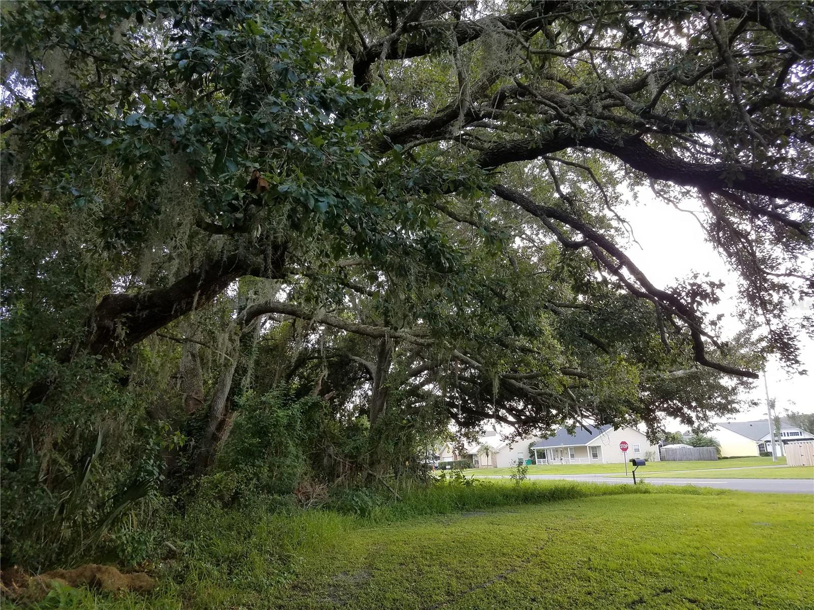 EMERALD LAKE COLONY UNIT 02 - Land