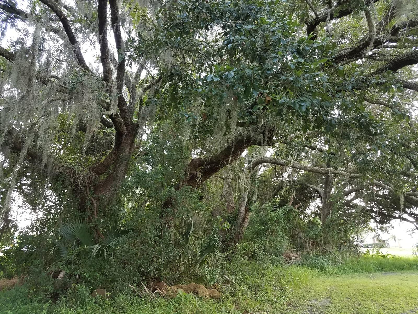 EMERALD LAKE COLONY UNIT 02 - Land