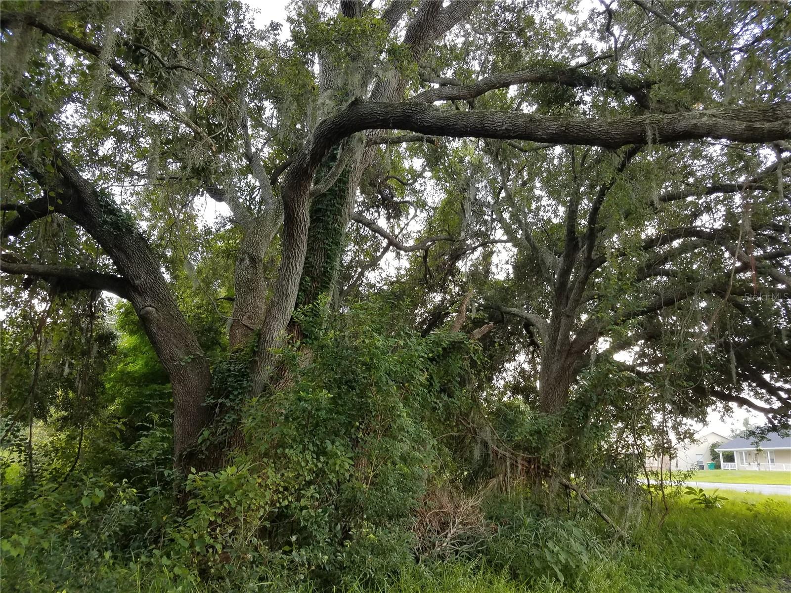 EMERALD LAKE COLONY UNIT 02 - Land