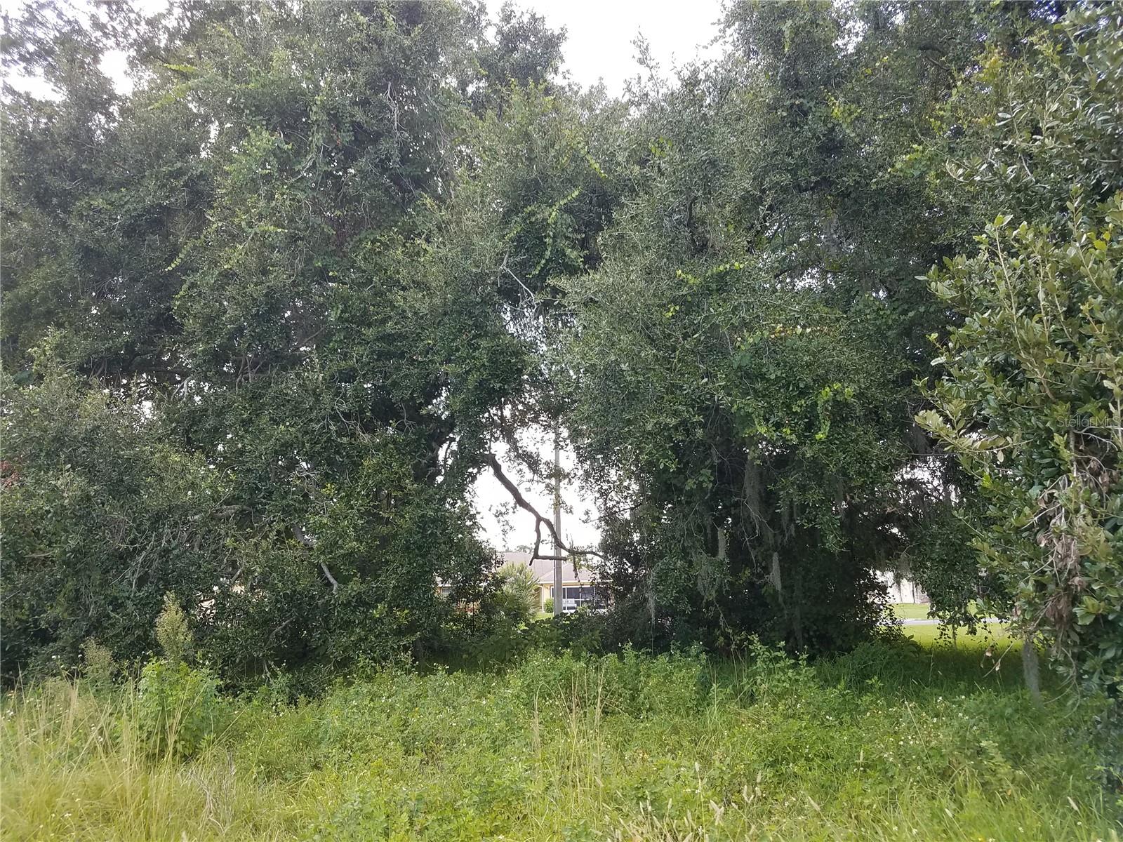 EMERALD LAKE COLONY UNIT 02 - Land