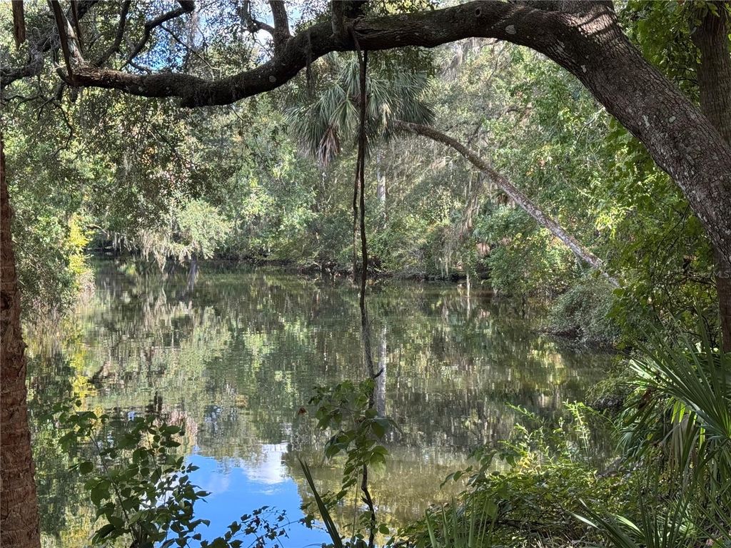 Photo of 13789 W Foss Groves Path, Inglis, FL 34449 (MLS # OM712137)