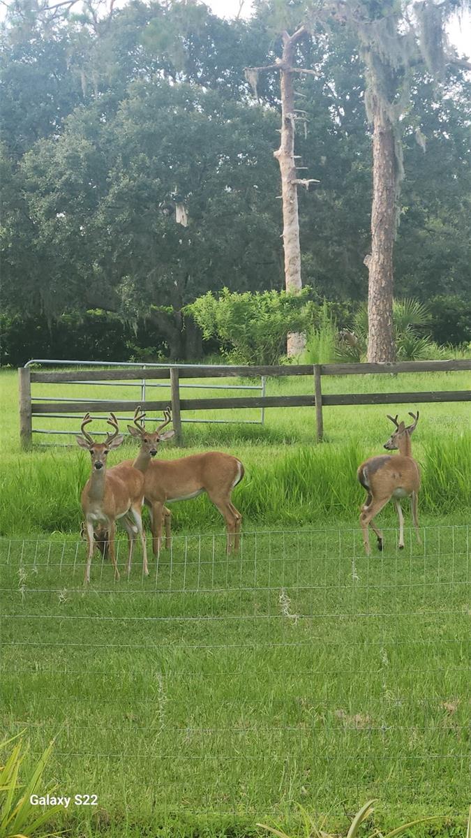 HIDDEN RIVER - Residential Lease