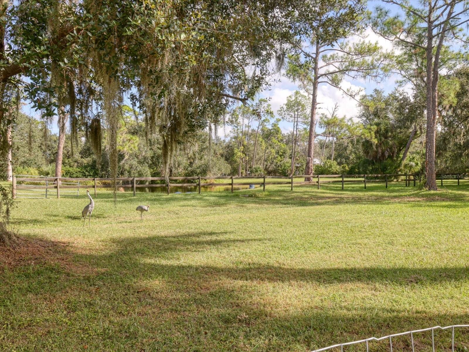 HIDDEN RIVER - Residential Lease