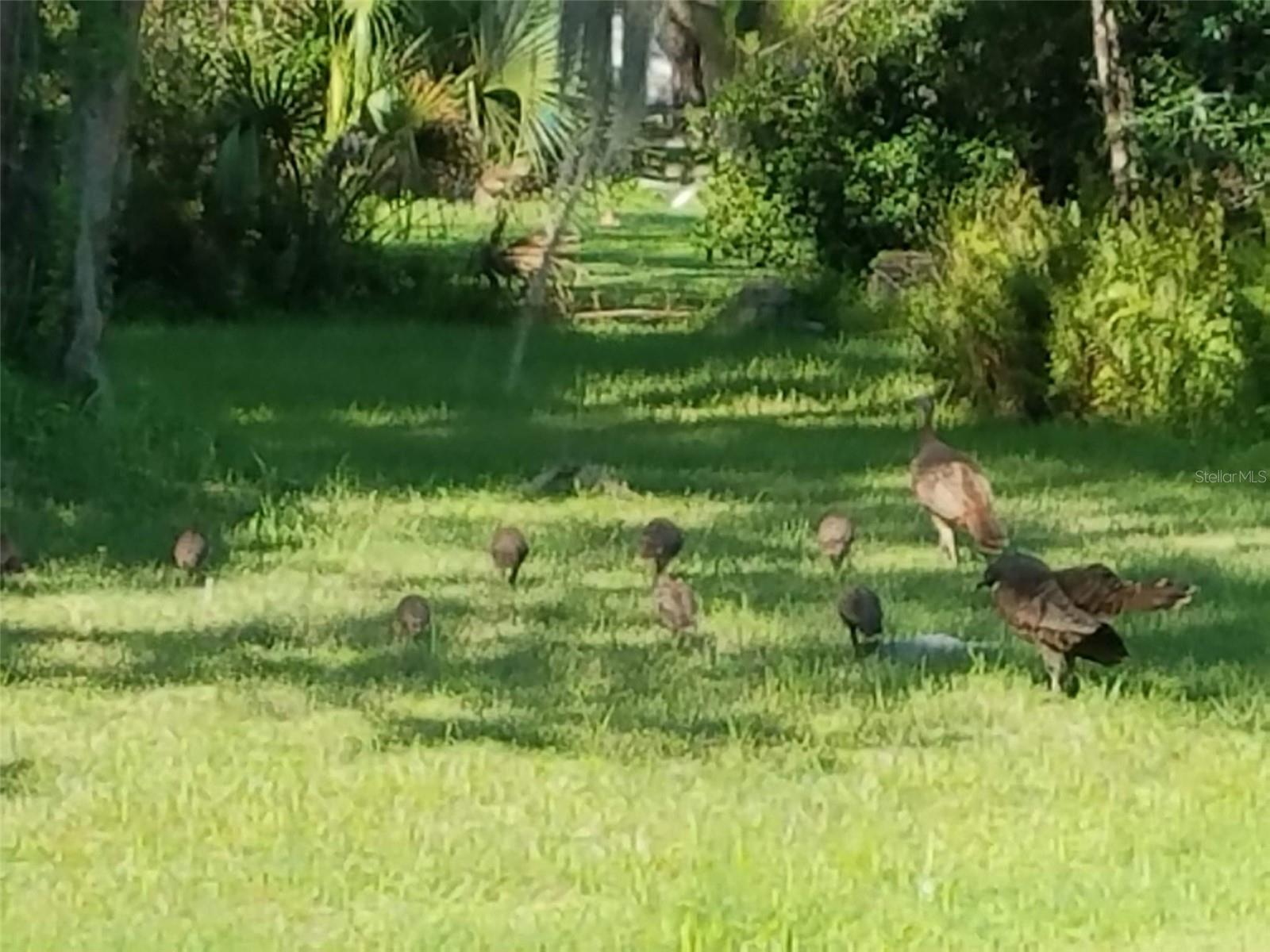 HIDDEN RIVER - Residential Lease