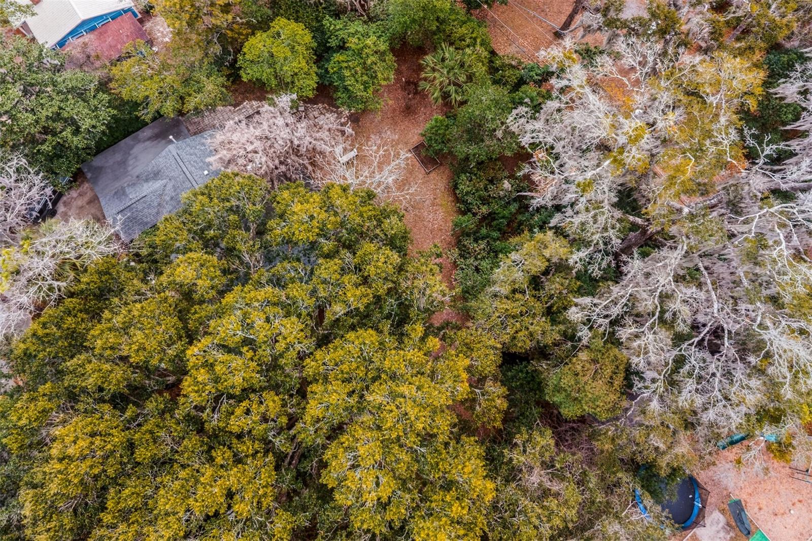 FOREST PARK SUB - Residential