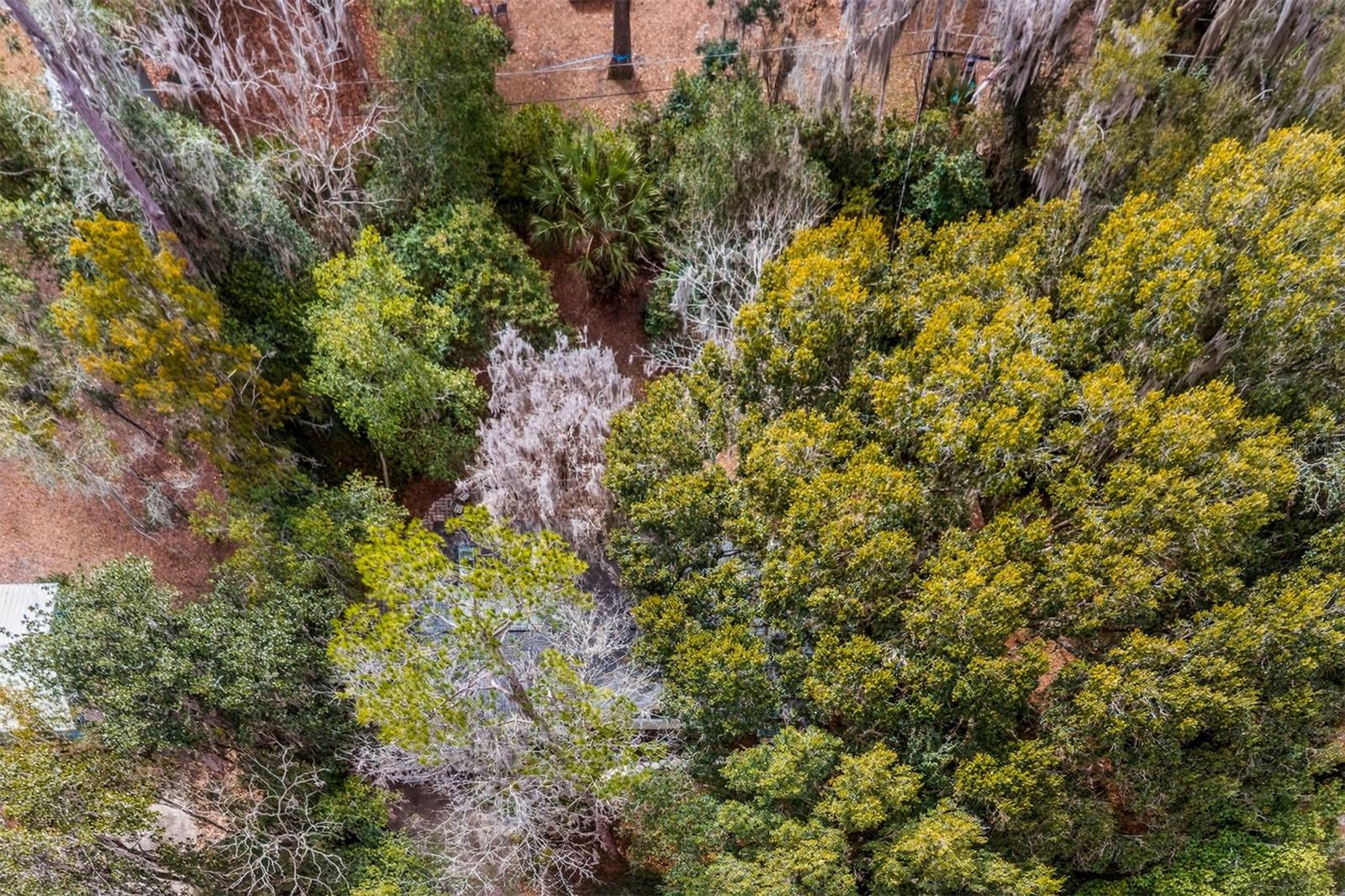 FOREST PARK SUB - Residential