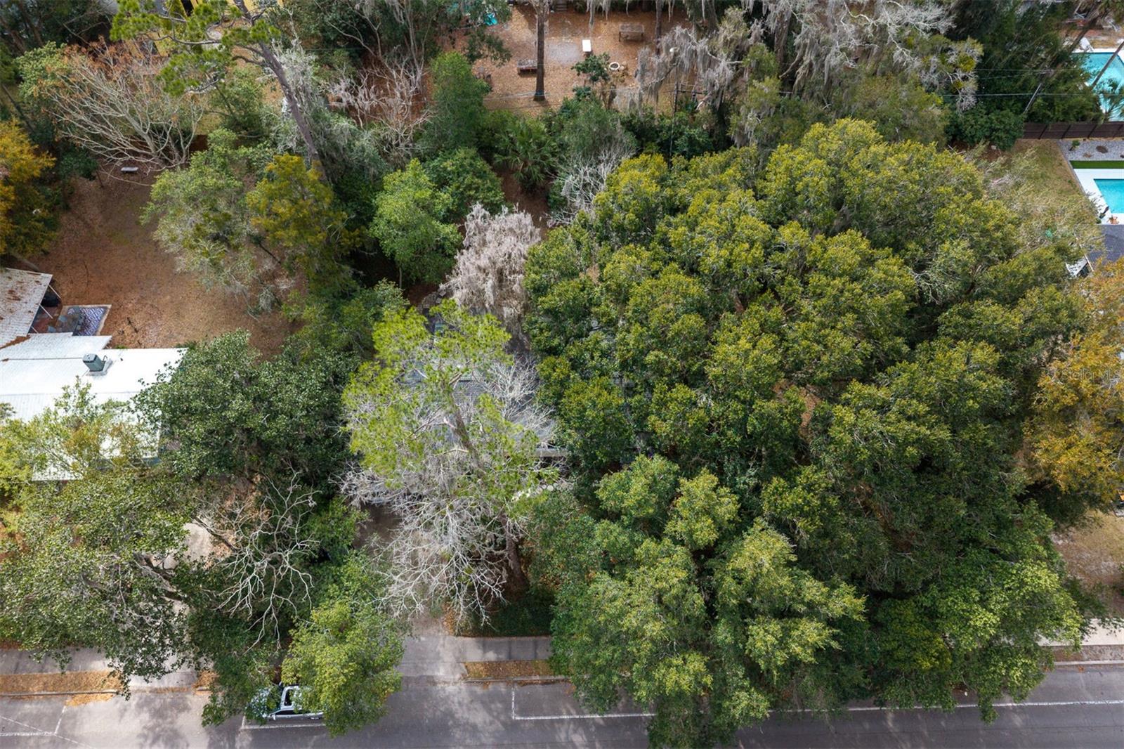 FOREST PARK SUB - Residential