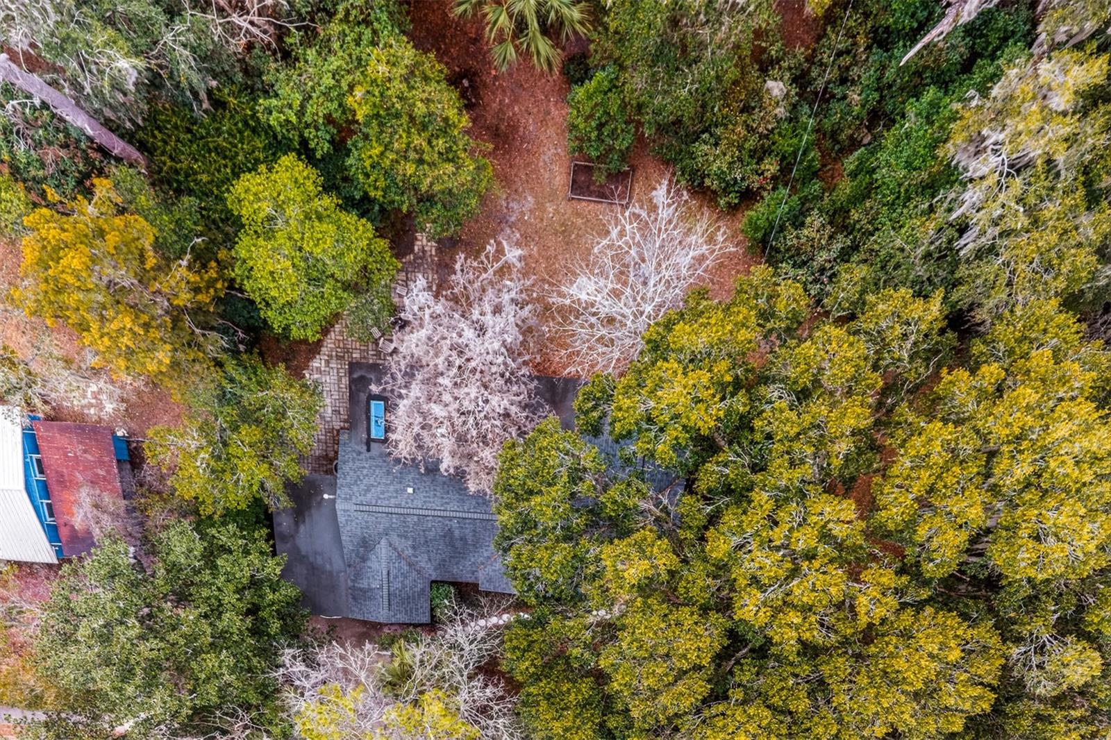 FOREST PARK SUB - Residential