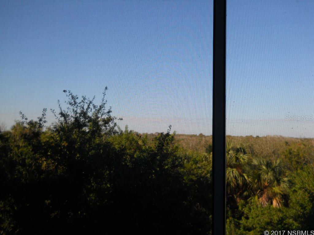 Ocean Walk New Smyrna Beach - Residential