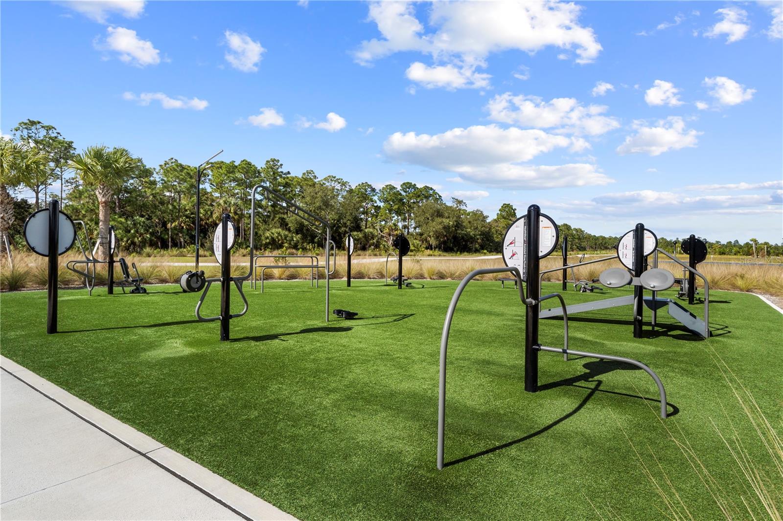 BABCOCK RANCH COMMUNITY VERDE - Residential