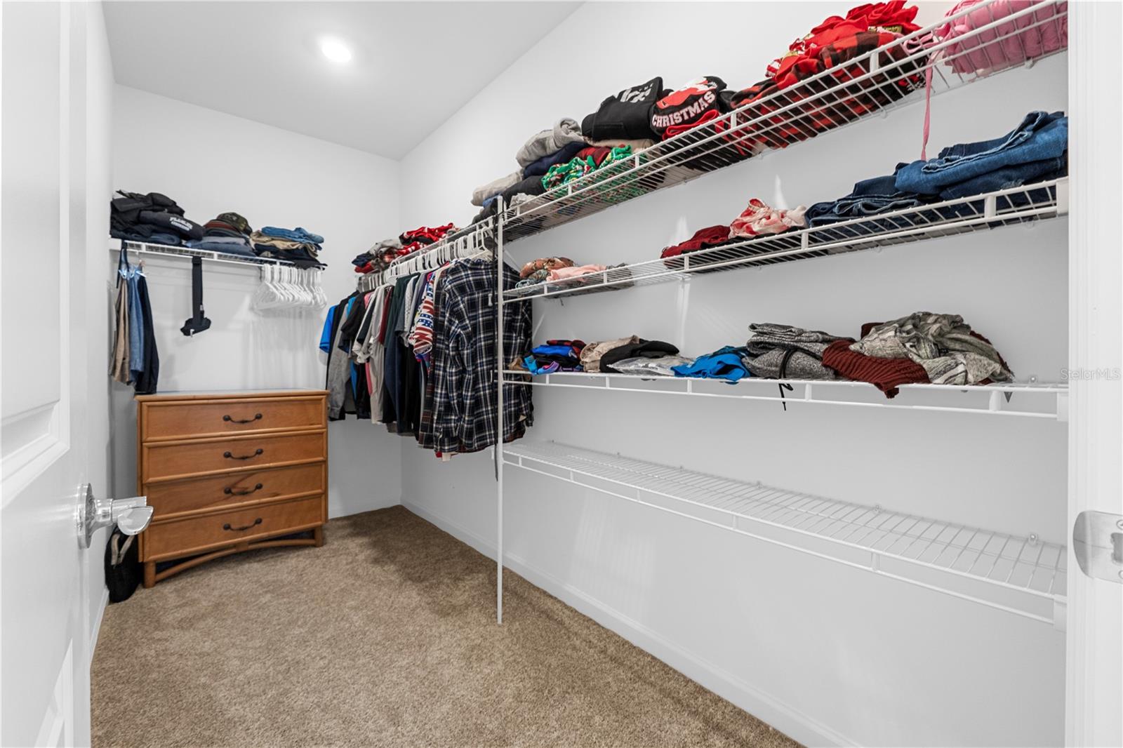 BABCOCK RANCH COMMUNITY VERDE - Residential