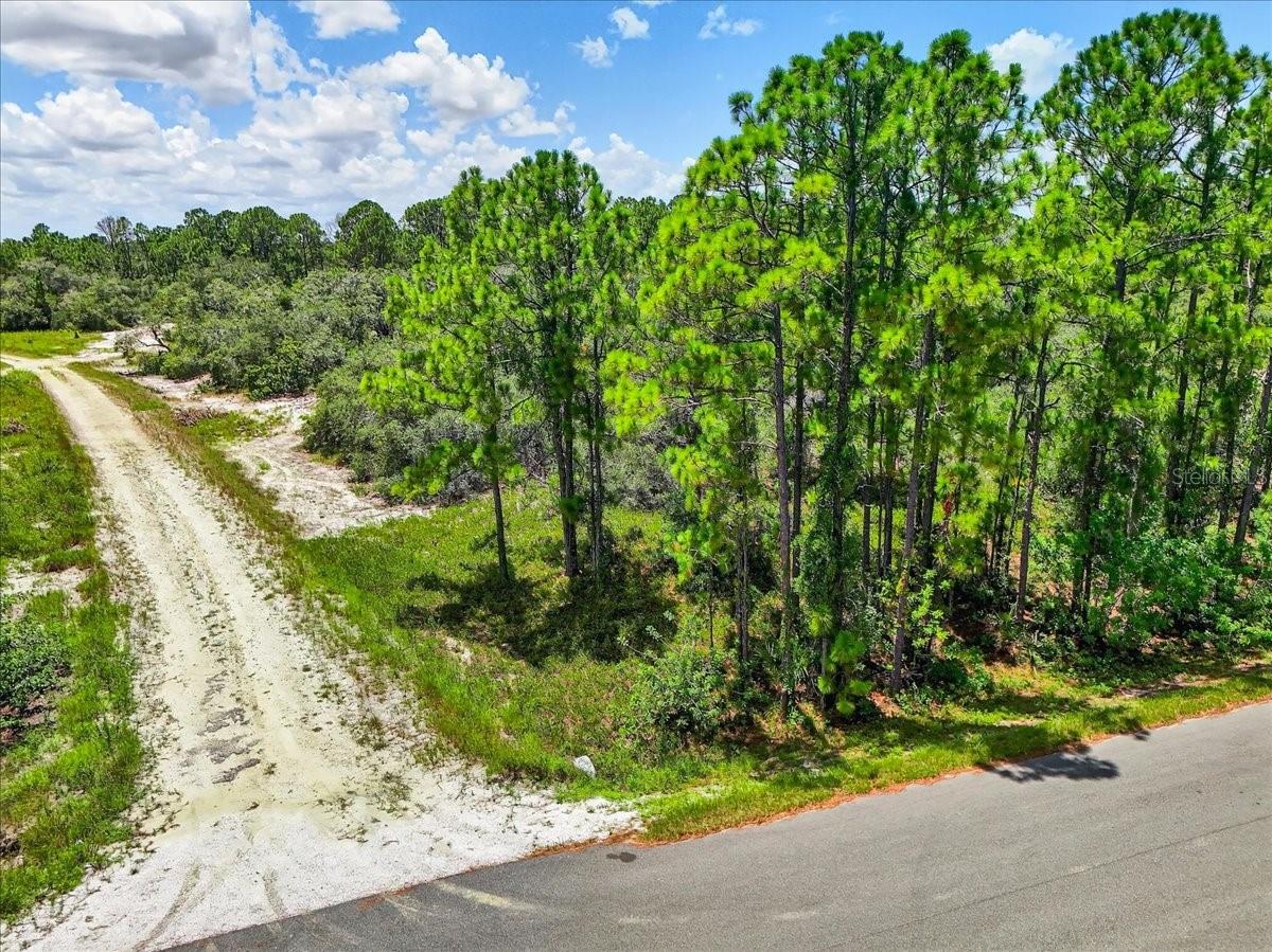 Under contract-accepting backup offers. Discover the opportunity to build your dream home or invest in the growing Lake Placid community! This .28-acre corner lot on Jack Weisser Blvd offers high visibility, paved road access, and nearby electric. Zoned for single-family use and located in a quiet, established neighborhood with no HOA, it’s partially cleared and ready to build. Just minutes from Lake June-in-Winter, parks, and downtown shops.