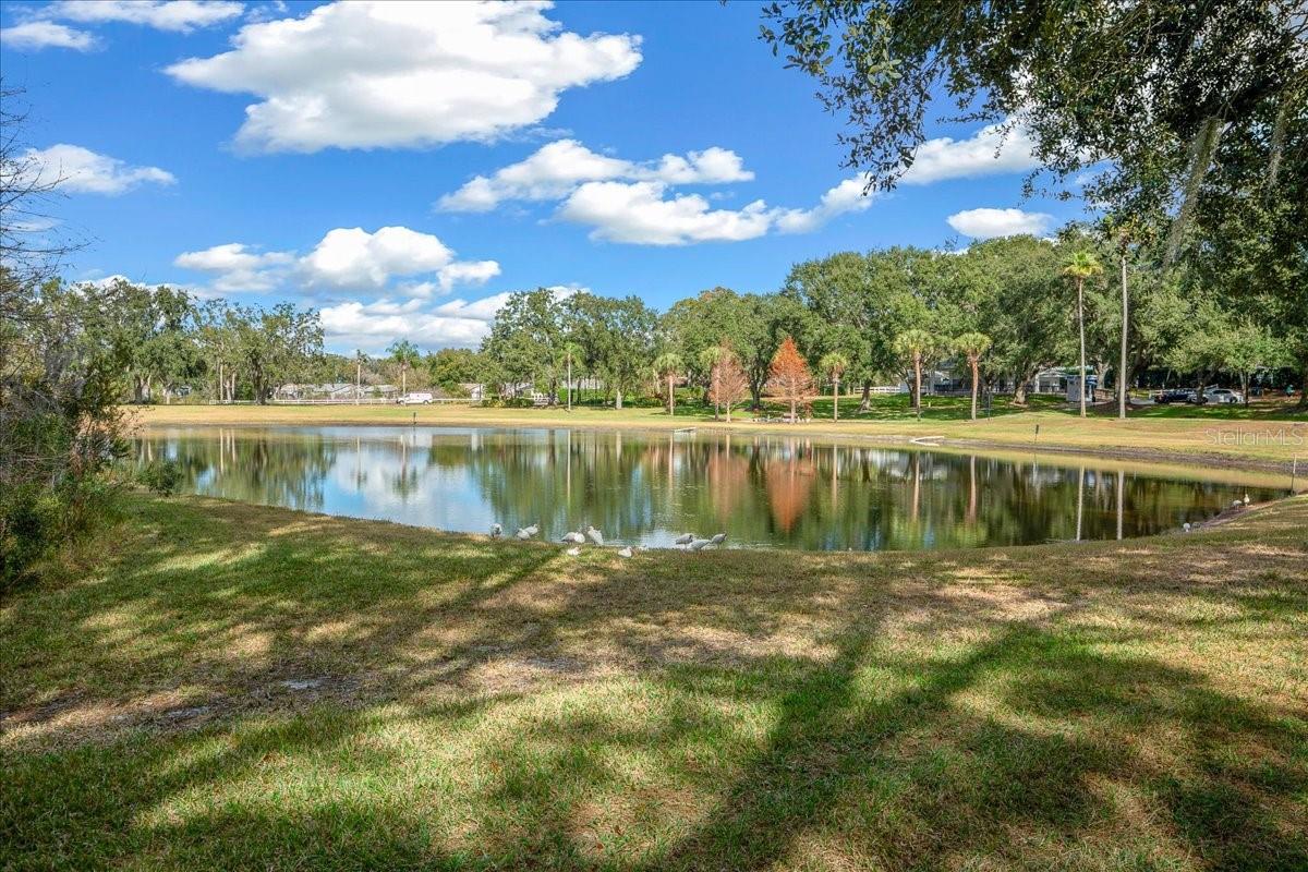 PLANTATION AT LEESBURG MANOR VIEW VILLAGE - Residential