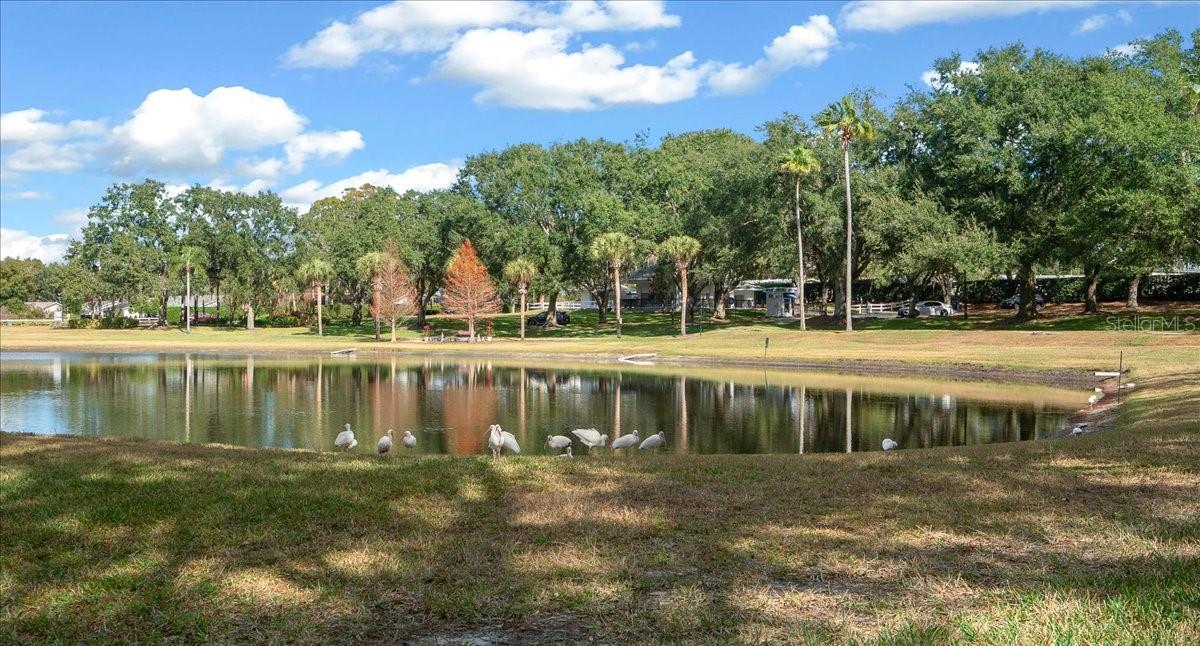 PLANTATION AT LEESBURG MANOR VIEW VILLAGE - Residential