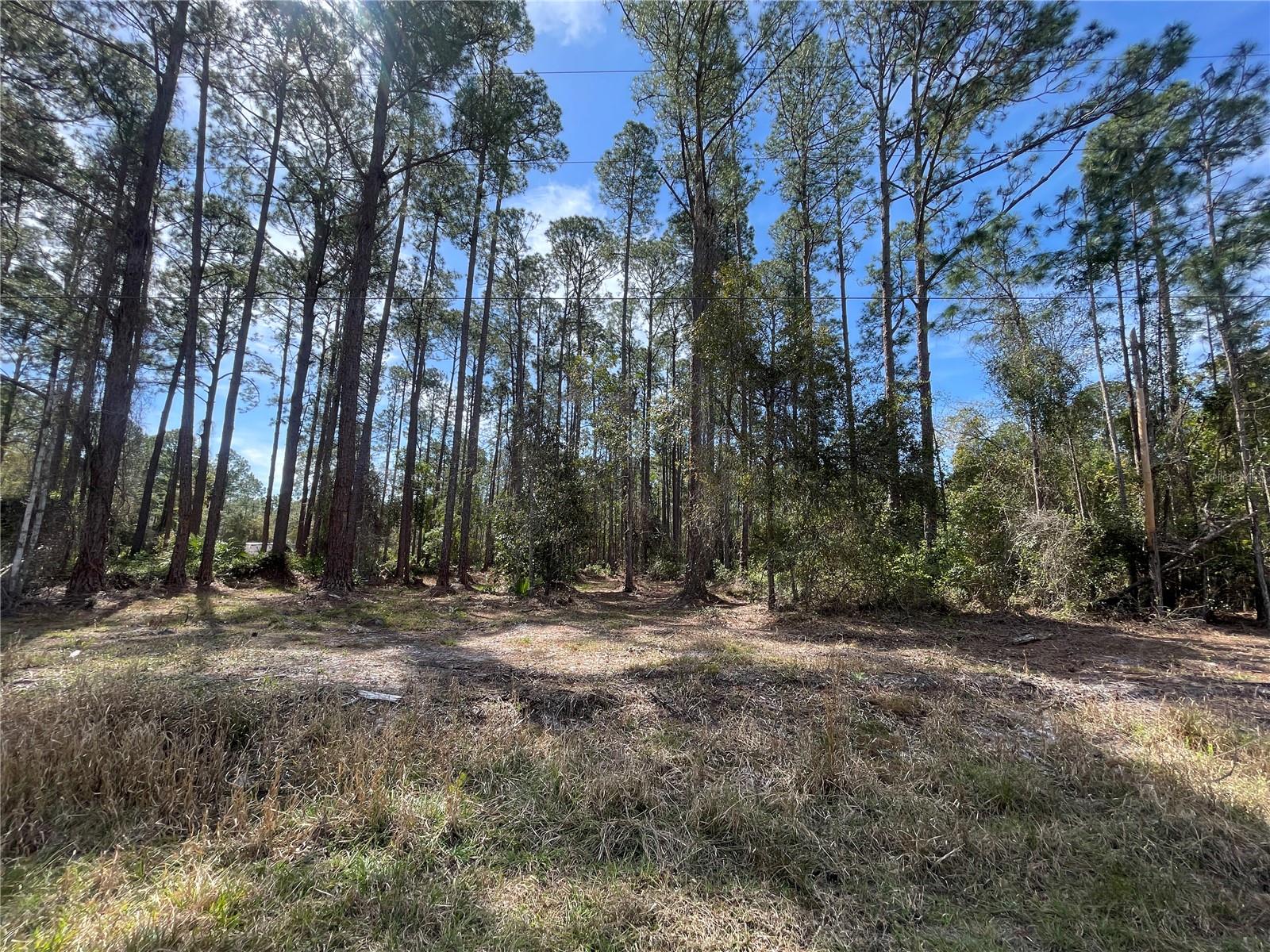 PARADISE LAKES SUB - Land