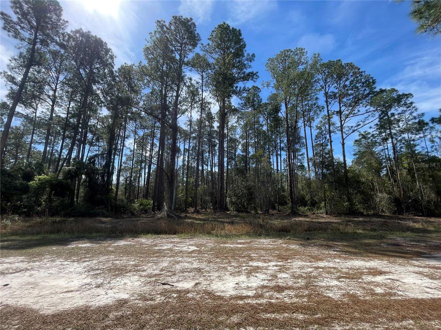 *Rare Opportunity offers these adjacent residential lots in Georgetown, Florida* Purchase ALL 3 parcels 103,105 and 107 Rosewood Street for $55,000, or separately. 
• 0.23 acres each, build-ready
• Corner lot advantage (107)
Highlights:
• Peaceful Paradise Lakes neighborhood
• Near Lake George and St. Johns River
• Perfect for custom home or investment
Envision your dream property in this serene setting. Flexible options for development. Don’t miss this chance to own a piece of Georgetown’s future. Properties have been surveyed, Engineering and Testing,
Contact now for details and viewing.