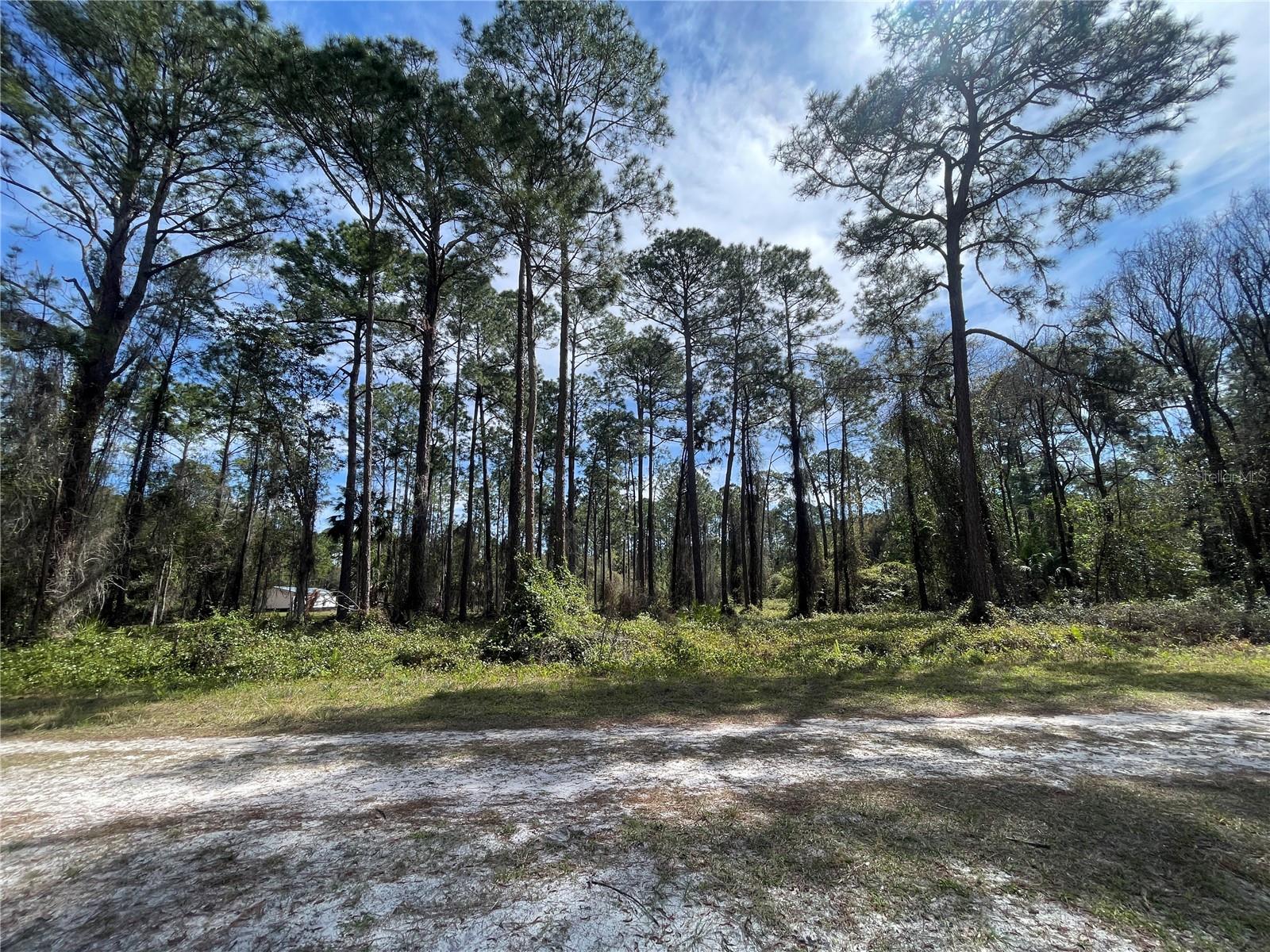 PARADISE LAKES SUB - Land