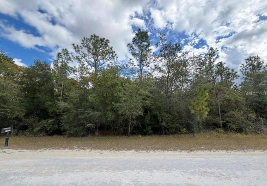 Photo of 19 Canyon Swallow Road, Weeki Wachee, FL 34614 (MLS # W7881618)