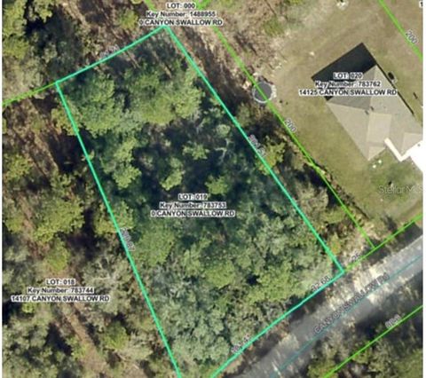 Lot 19 CANYON SWALLOW ROAD WEEKI WACHEE FL 34614