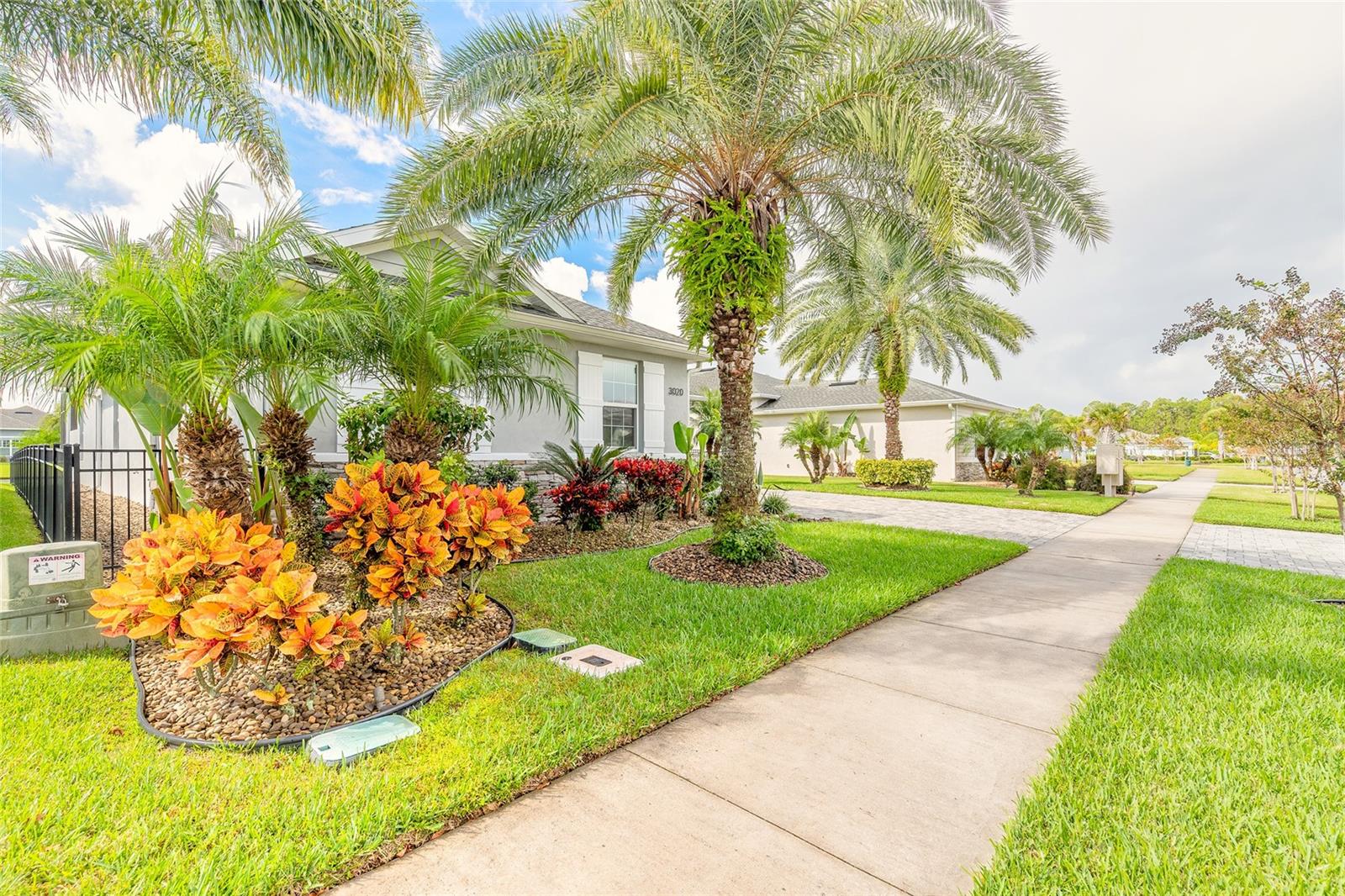 PALMS PH 2A - Residential