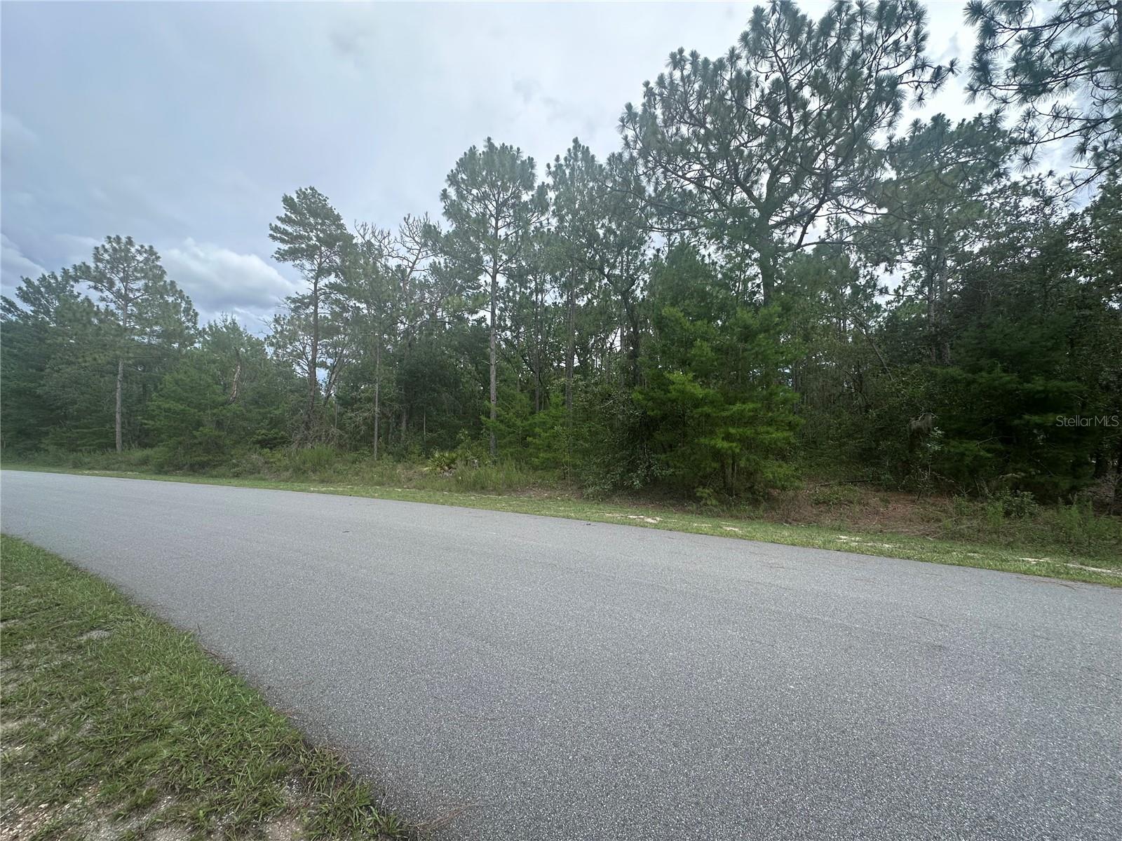 Build your dream home on this beautiful 1.12-acre lot nestled in the sought-after golf cart community of Oak Hill. Enjoy a peaceful setting just 15 minutes from The Villages’ Brownwood Square, with easy access to I-75 placing you only an hour from Orlando, Tampa, and the Gulf Coast. Nearby attractions include Whispering Oaks Winery and the 10,000-acre Lake Panasoffkee Wildlife Area, offering hiking, biking, horseback riding, camping, and more!
A minimum 1,800 sq ft home is required, and you’re free to choose your own builder with no timeline to start. Don’t miss this chance to create your ideal retreat in Central Florida!