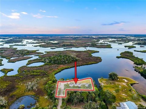Photo of 14190 W Sutton Court, Crystal River, FL 34429 (MLS # W7881804)