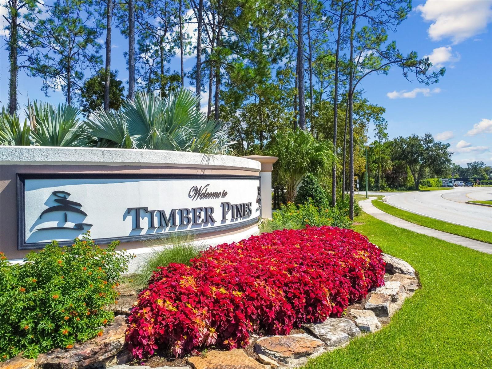 TIMBER PINES - Residential