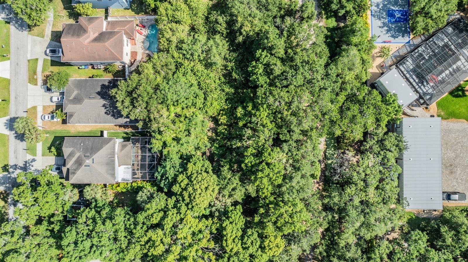 PORT TAMPA CITY MAP - Land